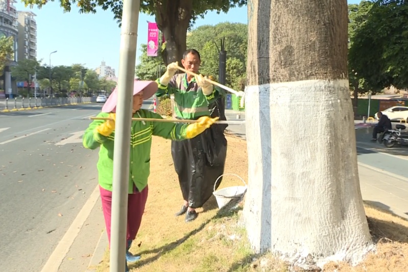 望牛墩：樹木刷白&ldquo;穿冬衣&rdquo; 御寒防蟲&ldquo;煥新顏&rdquo;