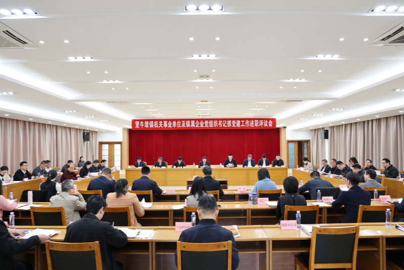 望牛墩鎮召開機關事業單位及鎮屬企業黨組織書記抓黨建工作述職評議會