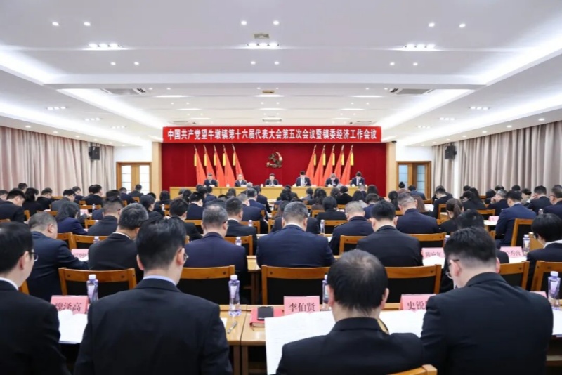 智造新樞、幸福望溪！中國共產(chǎn)黨望牛墩鎮(zhèn)第十六屆代表大會第五次會議暨鎮(zhèn)委經(jīng)濟工作會議勝利召開