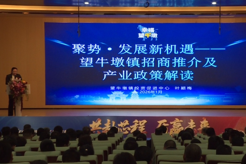 聚勢謀遠，共贏未來！望牛墩鎮開展招商推介活動