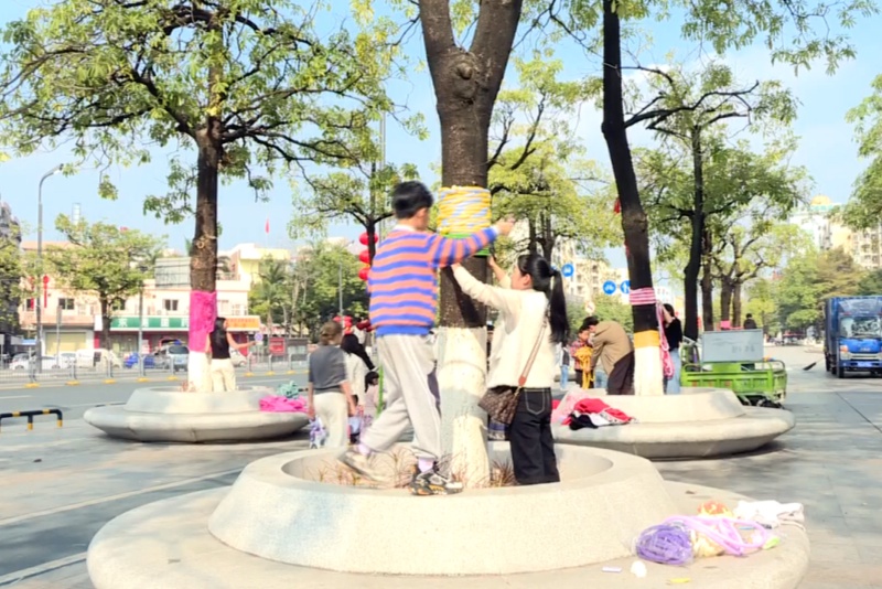 織暖冬 繪新景！望牛墩：市民為大樹織就新年&ldquo;新衣&rdquo;