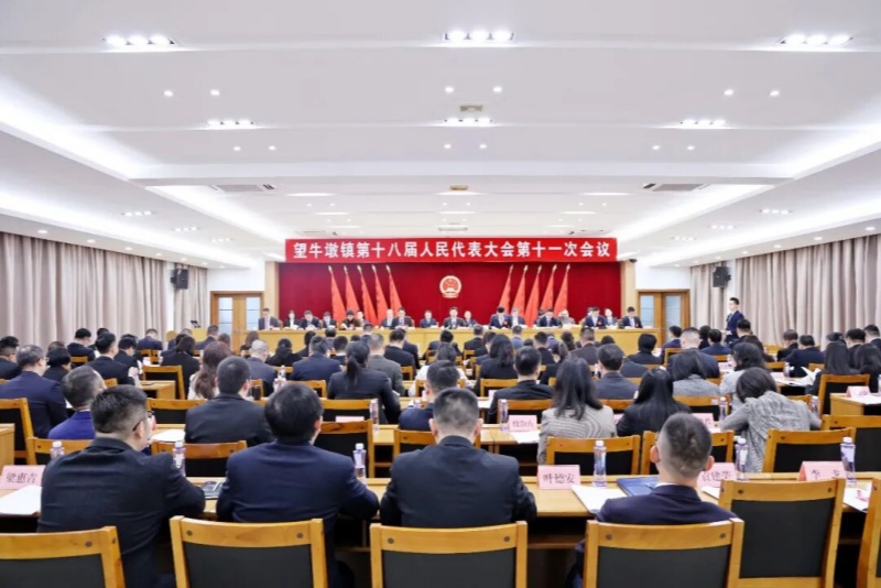 望牛墩鎮第十八屆人民代表大會第十一次會議勝利召開