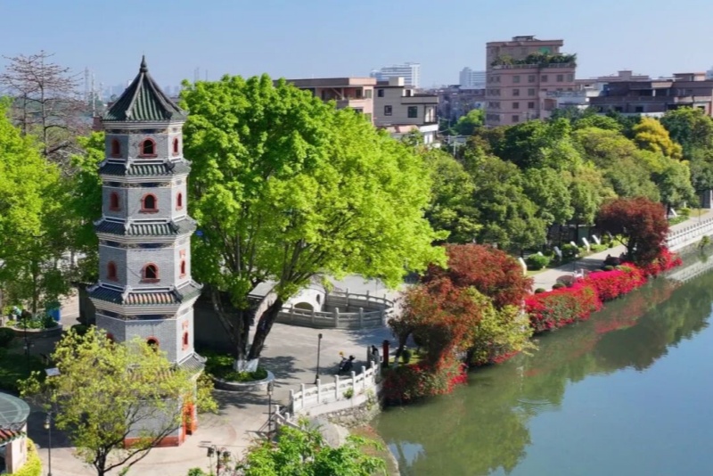 花映鵲橋添新景  七夕公園春日氛圍感拉滿