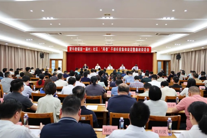 履職盡責(zé)勇?lián)?dāng)，實(shí)干爭(zhēng)先開新局！望牛墩鎮(zhèn)召開新一屆村（社區(qū)）&ldquo;兩委&rdquo;干部任前集體談話暨廉政談話會(huì)