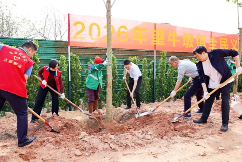 植新綠 開新局 譜新篇！望牛墩鎮(zhèn)開展全民義務(wù)植樹活動(dòng)