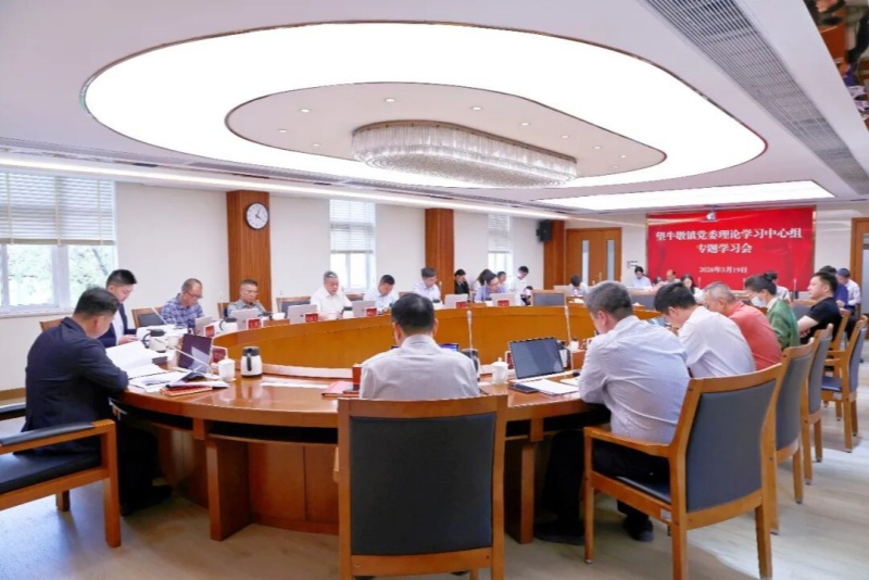 望牛墩鎮黨委理論學習中心組舉行專題學習會